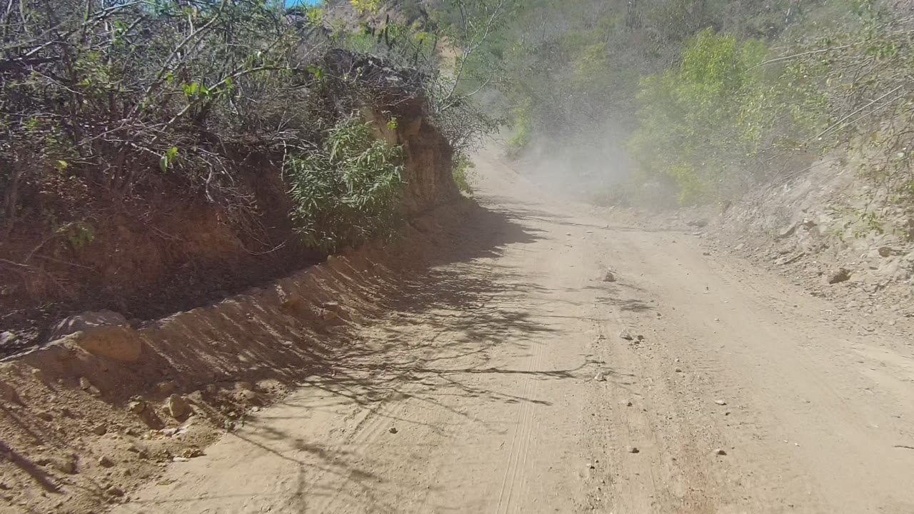 A dusty dirt road in Los Cabos, Baja California Sur curves between rocky banks and dry scrub, with branch shadows on the sandy surface and no visible people.
