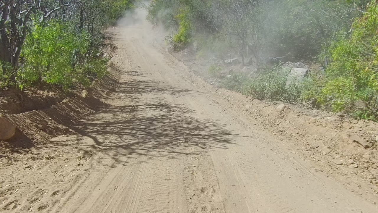 A straight sandy trail in Los Cabos runs through scrubby vegetation, with tire marks and a light dust plume visible ahead and no visible people.