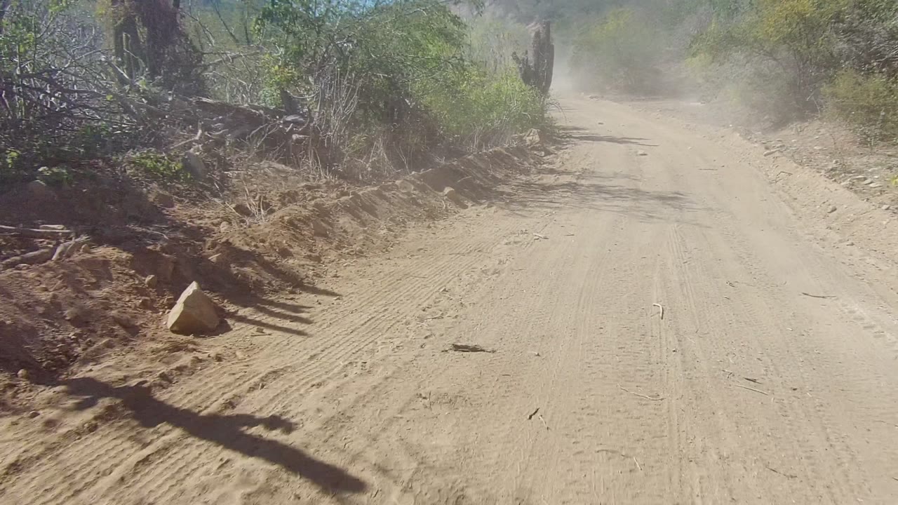 Forward view down a dusty unpaved road in Los Cabos, Baja California Sur, with sandy tire tracks, brushy shoulders, hard daylight, and no visible people.