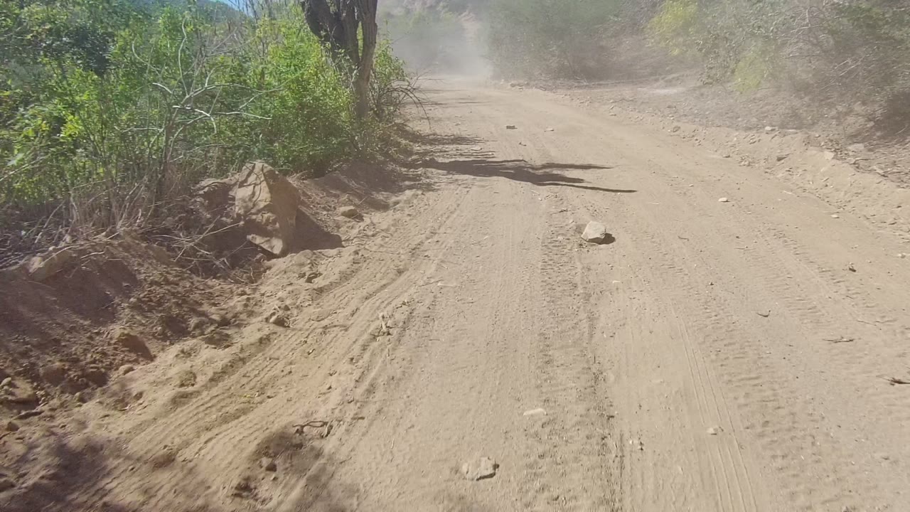 Sandy road surface with brush, rocks, and dust ahead.