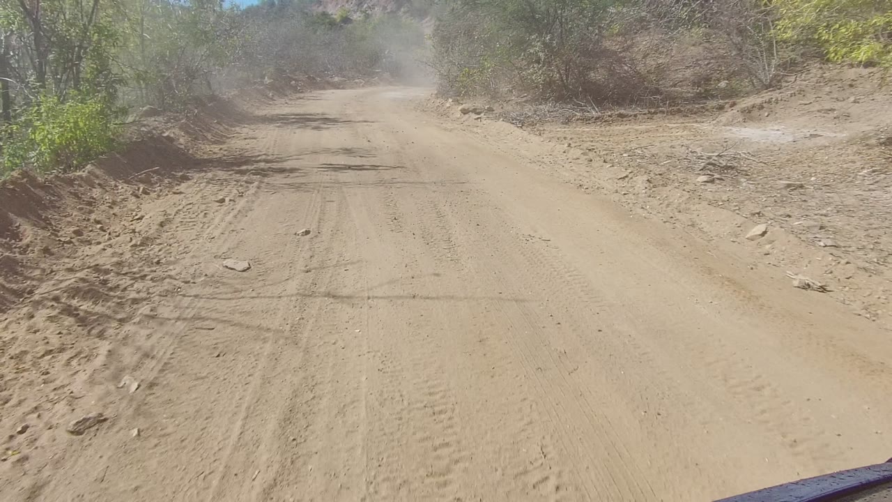 Dust rises over a dry unpaved road in Los Cabos as the track bends through shrubs, small trees, scattered stones, and no visible people.