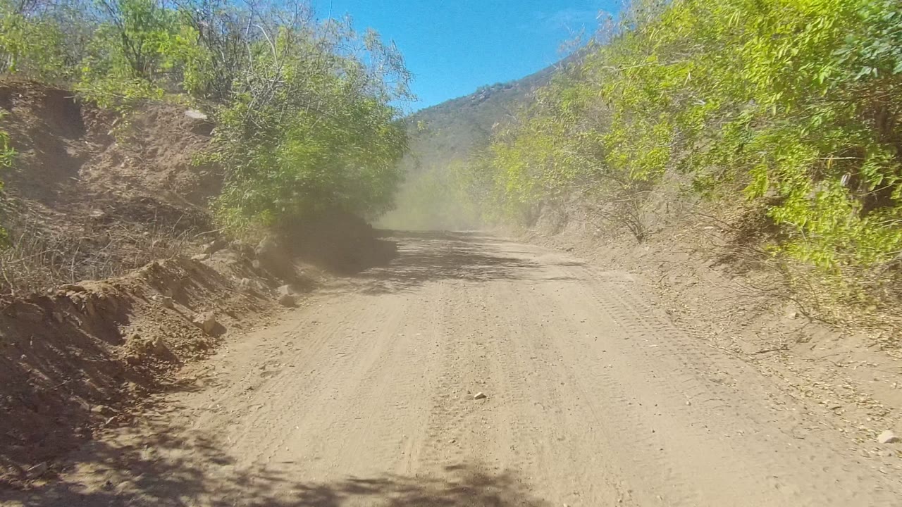 Dusty dirt road in Los Cabos, Baja California Sur curving through green roadside trees and dry earth banks, with distant hills and no visible people.