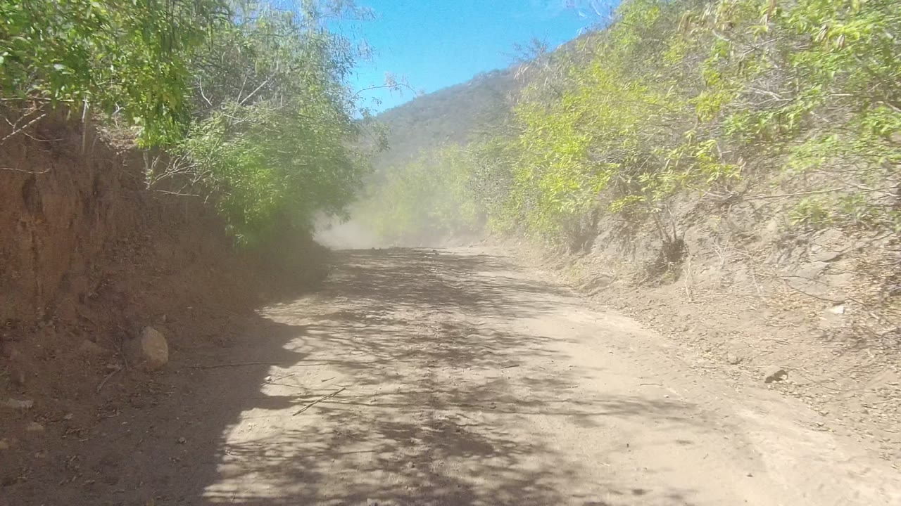 Sandy road beside a shaded earth bank and green foliage