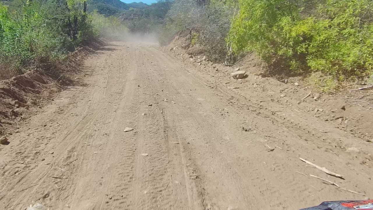 Rocky dirt track bordered by brush and trees