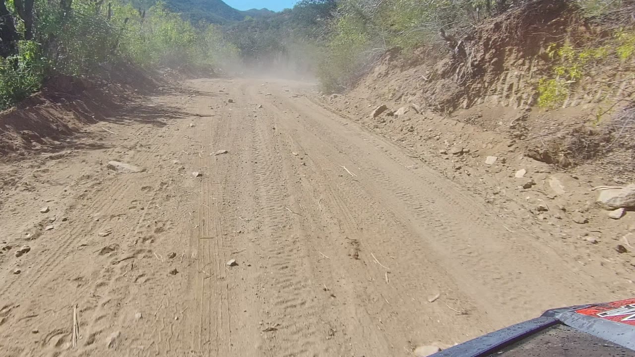 A sunlit dirt road in Los Cabos curves through scrubby trees and low hills, with the edge of the vehicle visible at the lower right and no visible people.