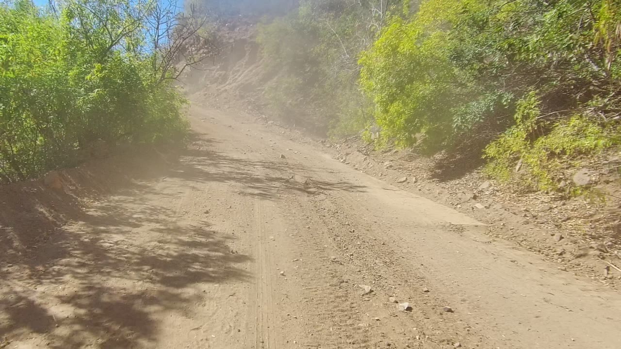 A dusty unpaved road curves uphill through rocky Los Cabos terrain with green bushes on both sides, bright sun, blue sky, and no visible people.