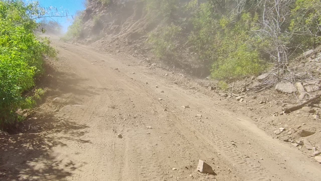 The vehicle view looks up a tan dirt road in Los Cabos with scattered rocks, scrub vegetation, dry branches, tire tracks, dust, and no visible people.