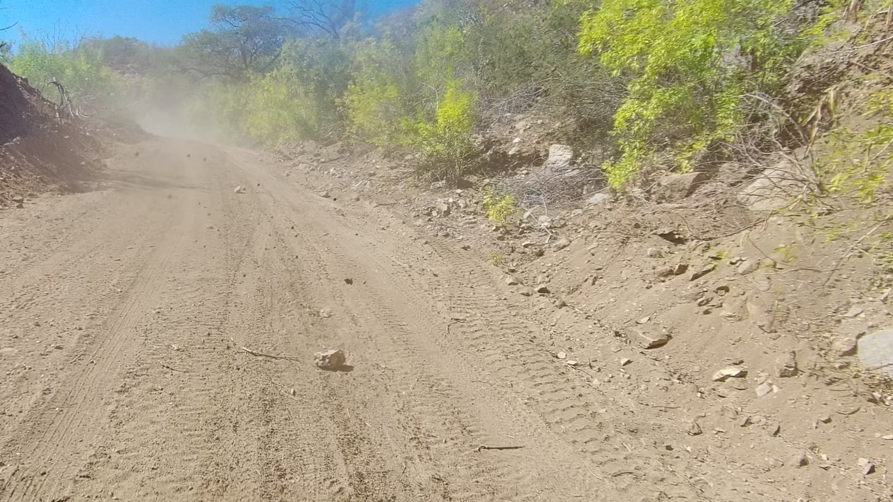 A Los Cabos dirt road stretches forward between rocky edges and green shrubs, with dust drifting ahead and no visible people.