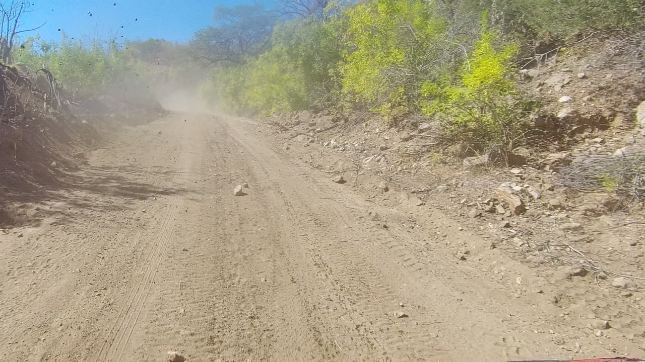 Sandy off-road track with dust and bushes on both sides.