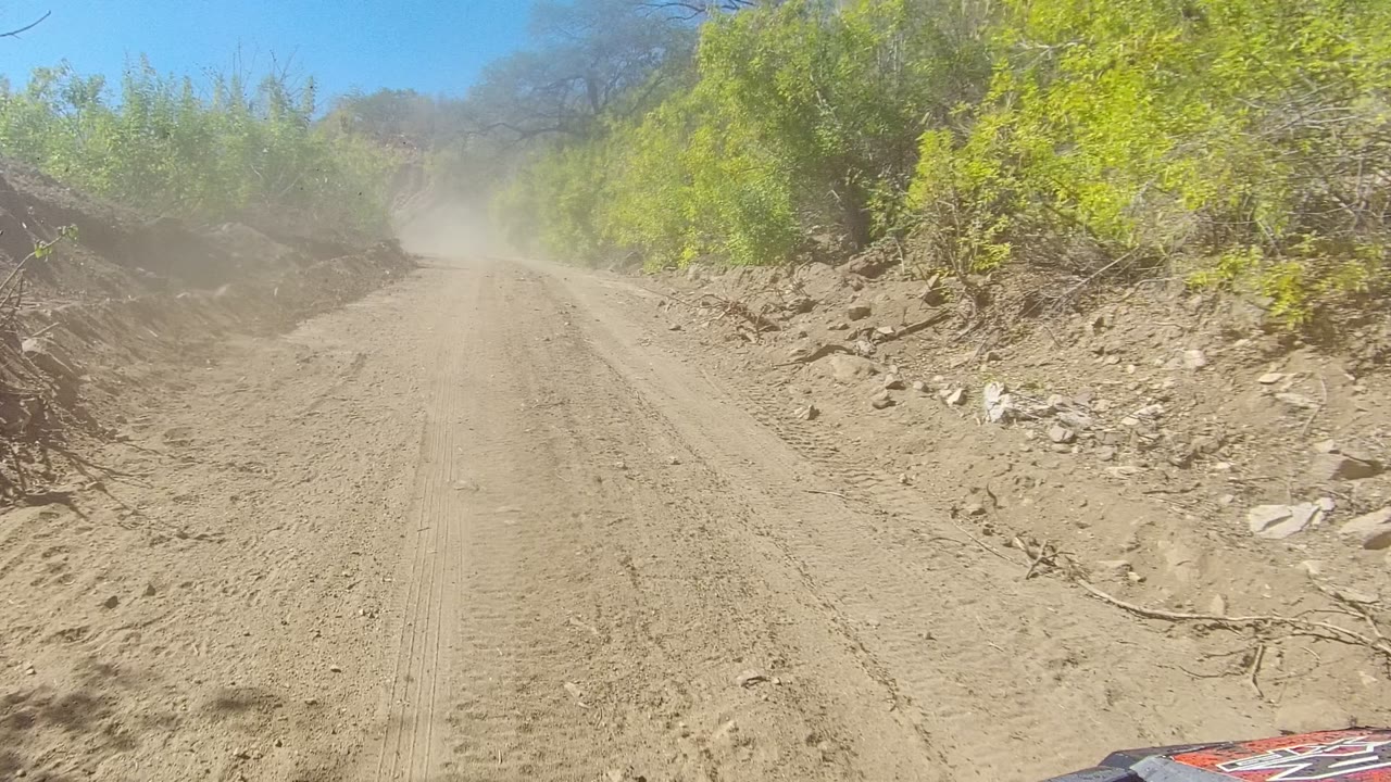 A dusty Los Cabos road bends gently through scrubby green vegetation and rocky dirt shoulders, with a faint vehicle edge visible at lower right and no visible people.