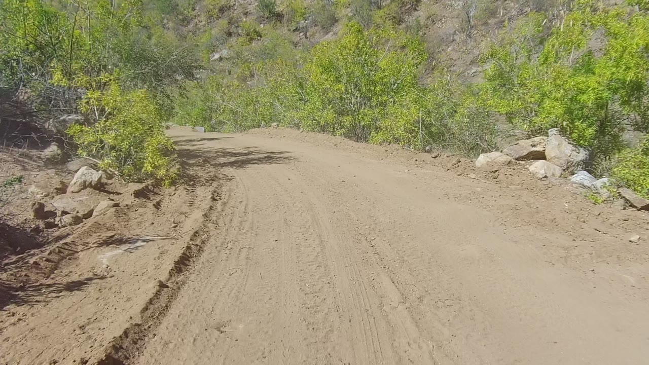 A sandy dirt road in Los Cabos, Baja California Sur curves through rocks and green vegetation under bright sun, with no visible people.