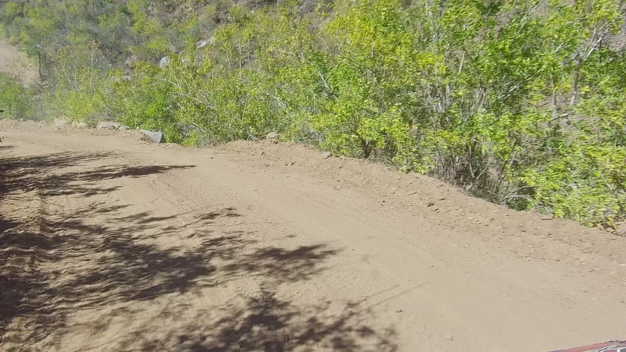 The Los Cabos dirt road appears wider and flatter here, with branch shadows crossing the sand and dense green brush along both sides, with no visible people.