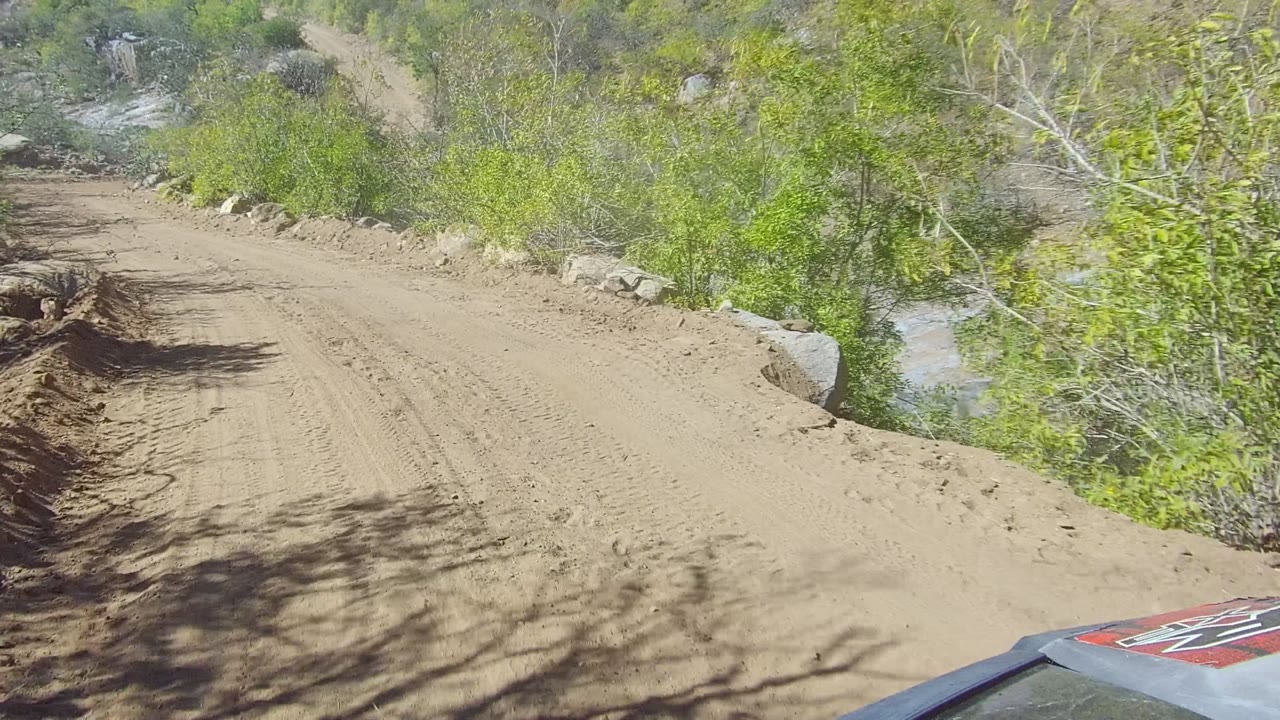 A rutted sandy track runs ahead through Los Cabos scrub, with a raised dirt edge on the left, green vegetation on the right, and a small vehicle hood edge visible, with no visible people.