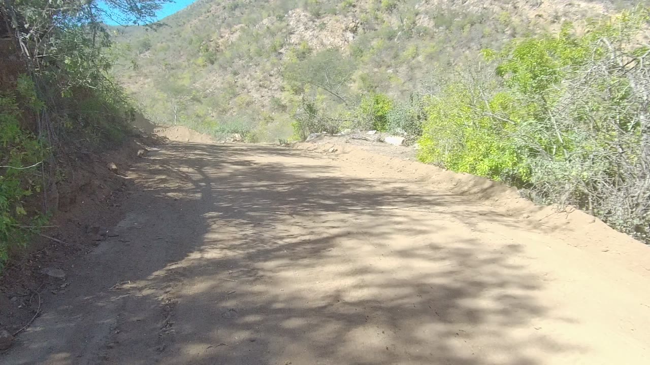 A dusty dirt road in Los Cabos, Baja California Sur curves ahead between green roadside trees and rocky hills, with no visible people.