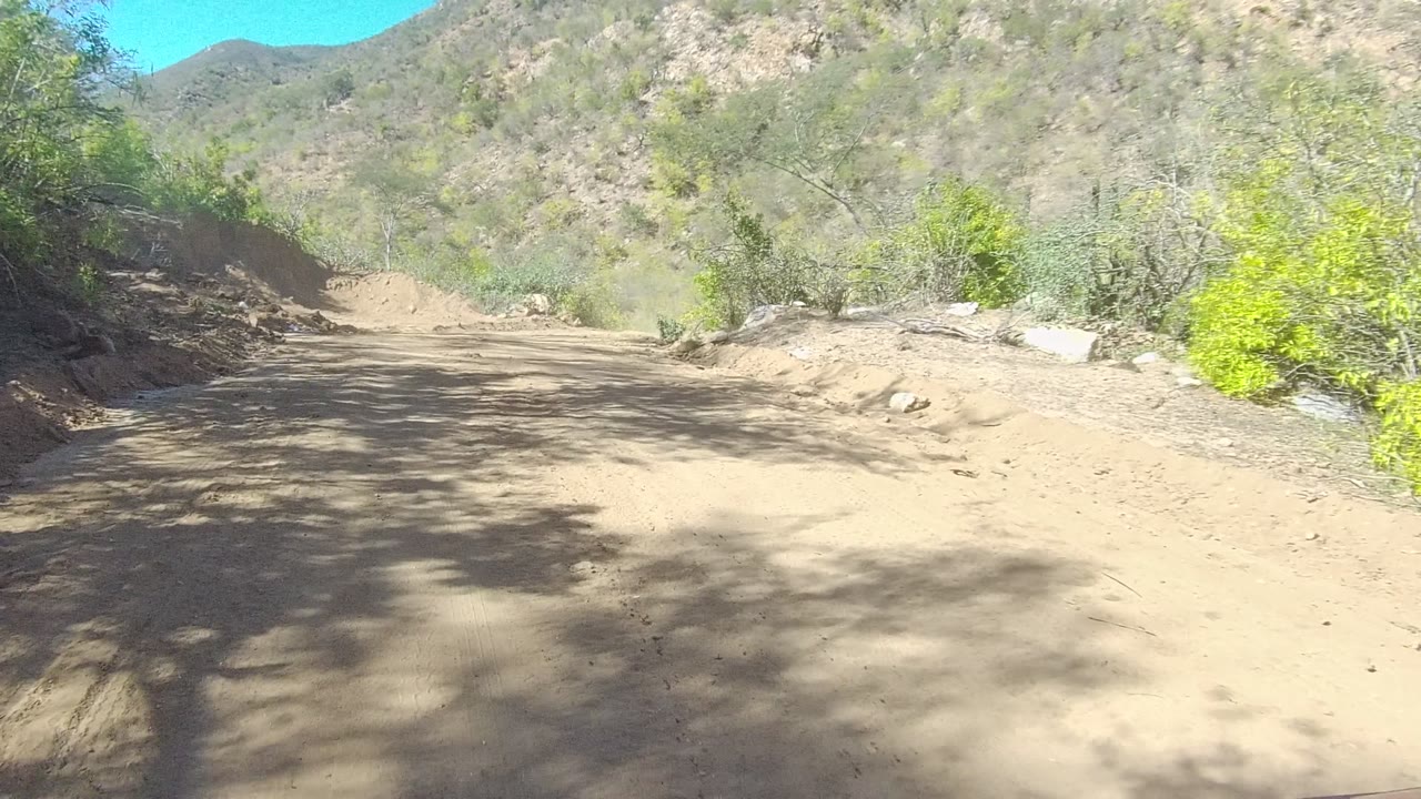 Wide sandy road with brush, hillside, and bright sun.