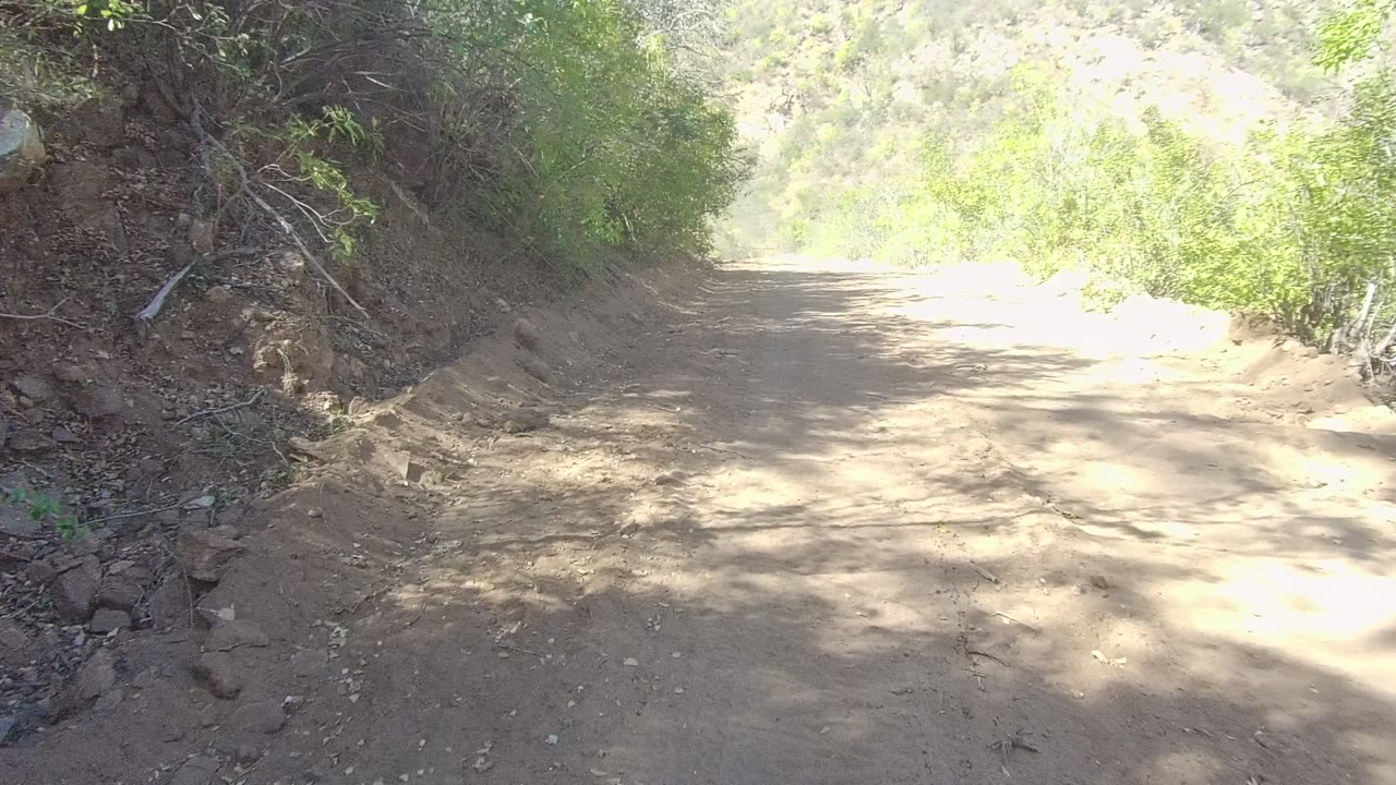A dirt road in Los Cabos, Baja California Sur curves ahead between shaded trees and sunlit dry hillside vegetation, with no visible people.