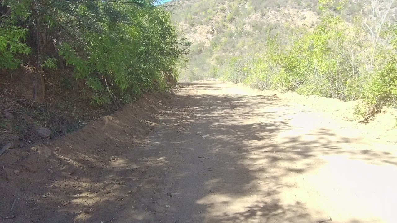 A wider view of the dirt road in Los Cabos shows the track bending past green brush, with dry scrub-covered hills in the background and no visible people.