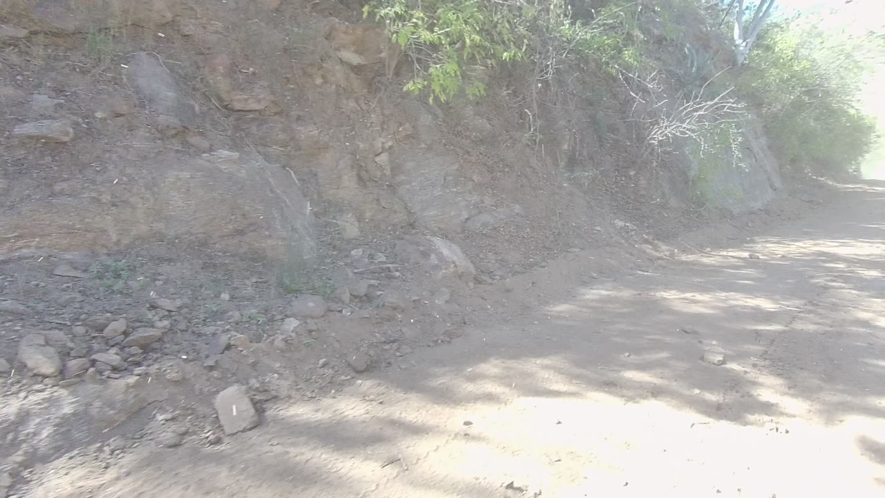 Curving dirt path bordered by rock wall and vegetation