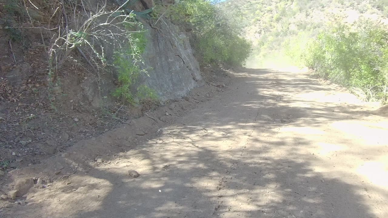 A shaded section of the Los Cabos dirt road passes under overhanging branches beside a steep rocky slope and brush, with no visible people.
