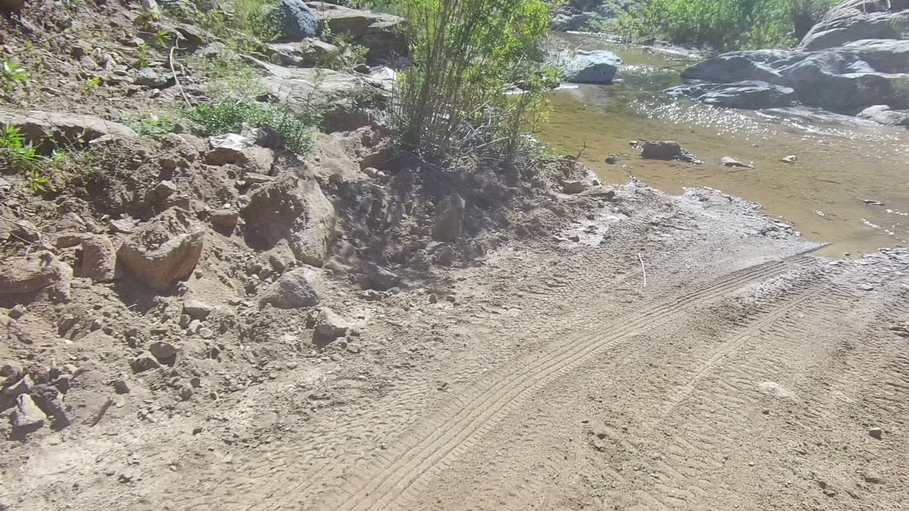 Shallow brown stream crossing a pale dirt road in Los Cabos, Baja California Sur, with rocks, scrub vegetation, tire marks, bright sun, and no visible people.