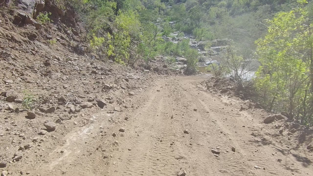 The road in Los Cabos bends toward a greener wash area, with rocks on the shoulder, brush on both sides, and no visible people.
