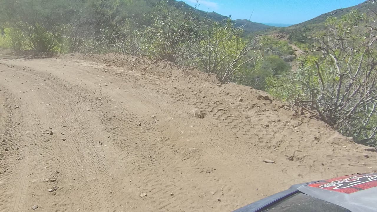 Low vehicle-height view of a dusty dirt road curving through green brush and hills in Los Cabos, Mexico, with no visible people.