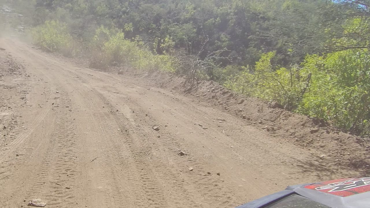 Dusty road view bordered by dense green brush and hillside vegetation in Los Cabos, Mexico, with the vehicle hood at the lower right and no visible people.
