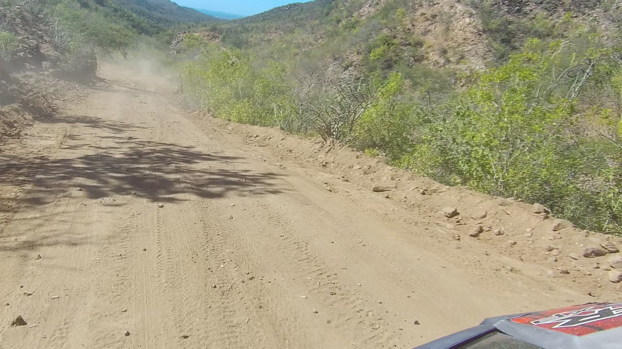 Straight dusty road with tire tracks and brush