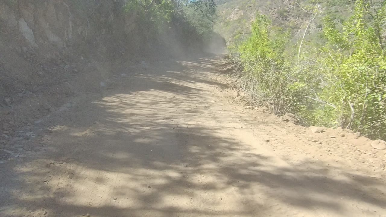 Dusty unpaved road with brush along the right side