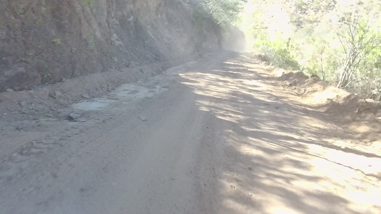 The road in Los Cabos runs close to a tall rocky cut, with pale dust on the track, bright vegetation at the outside edge, and no visible people.
