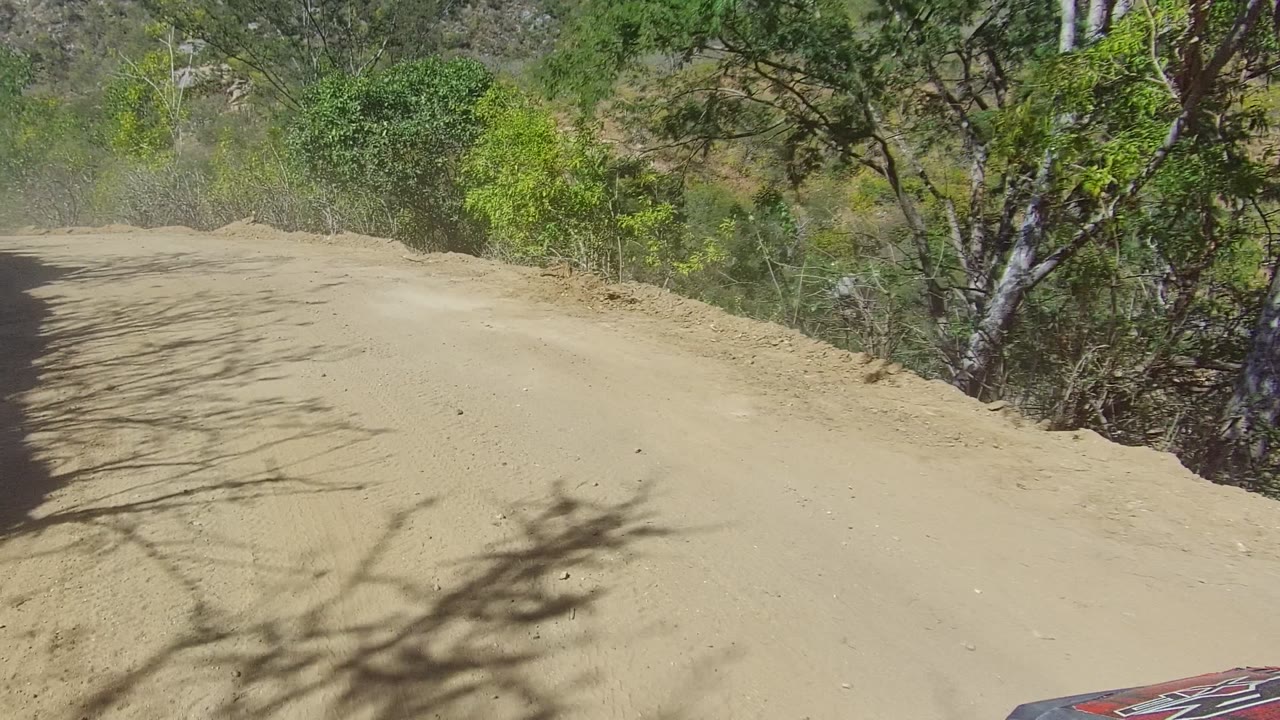A dusty dirt road in Los Cabos, Baja California Sur curves along green shrubs and trees under hard sunlight, with no visible people.