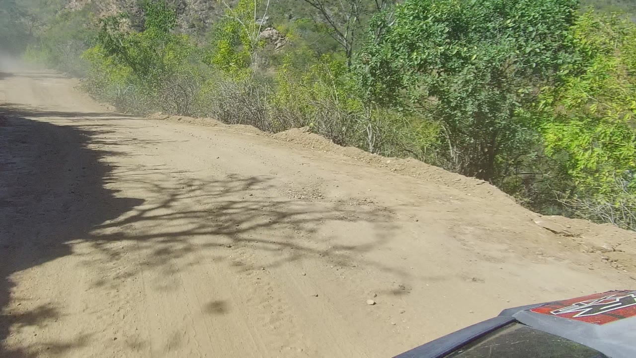 Vehicle view along a dusty dirt road with trees and shadow across the track.