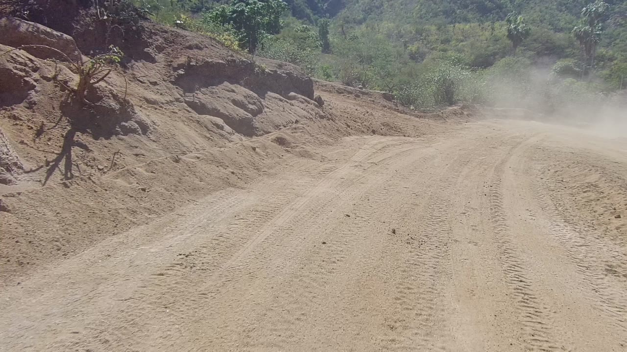 A sandy dirt road in Los Cabos, Baja California Sur runs between eroded roadside banks and shrubs under bright sun, with no visible people.