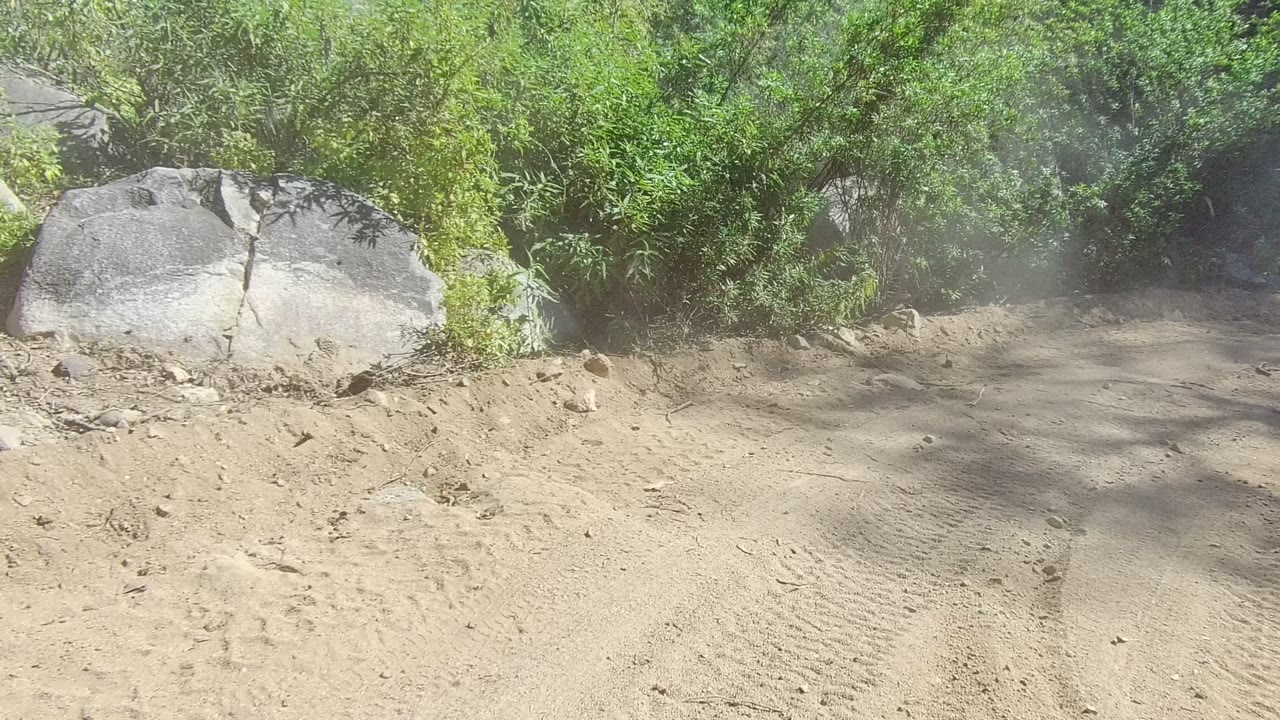 Dusty Los Cabos dirt road bordered by green roadside vegetation and a large pale boulder, with no visible people.