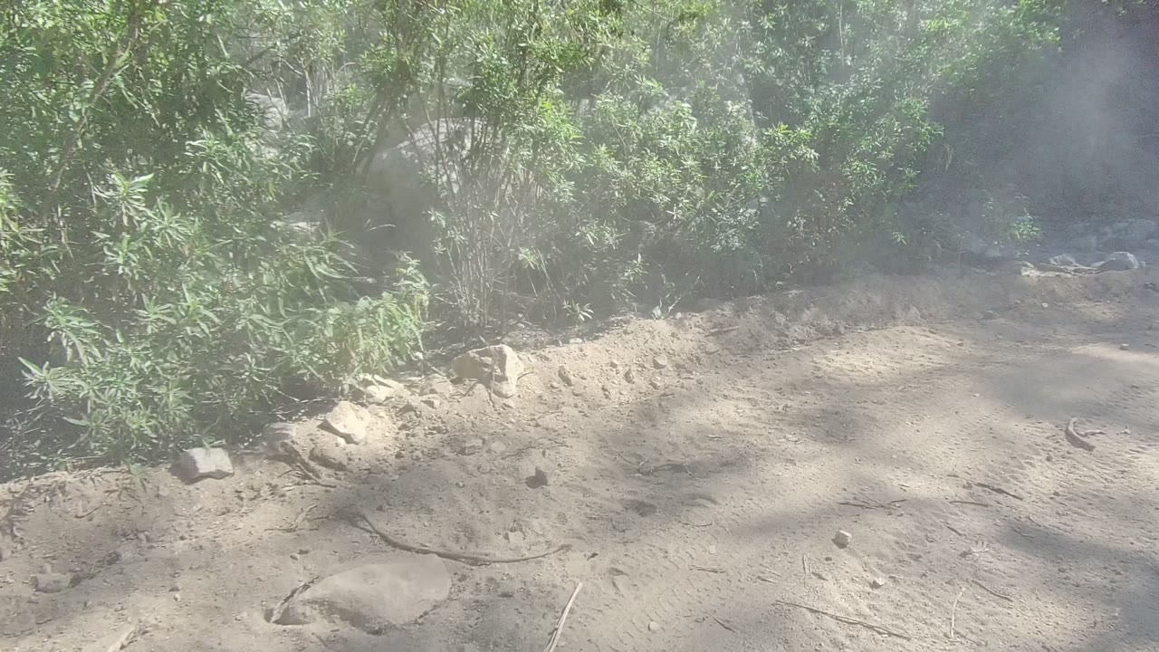 Sandy road surface with brush and scattered rocks along the edge.