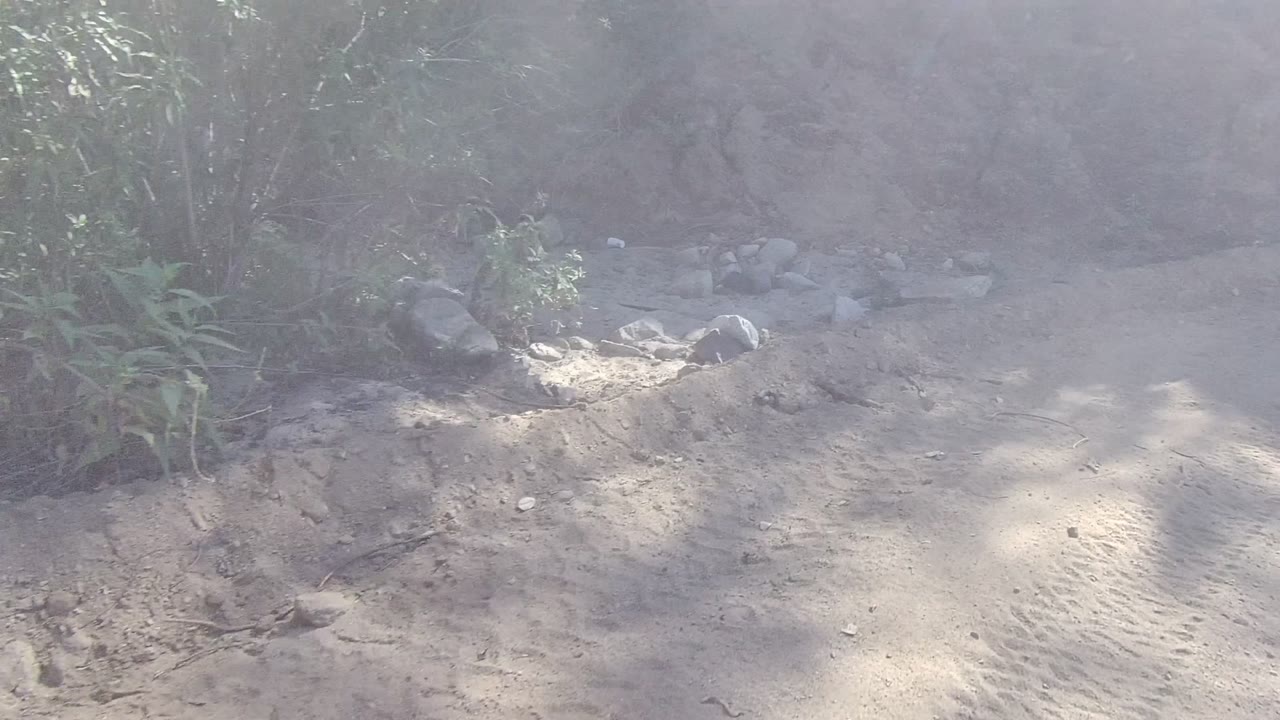 Dusty Los Cabos road with low shrubs, small rocks, dry bank edges, dappled shadow, and no visible people.