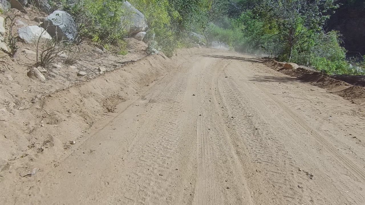 A bright section of sandy road in Los Cabos runs uphill between pale rocks, low green vegetation, and a lingering dust plume, with no visible people.