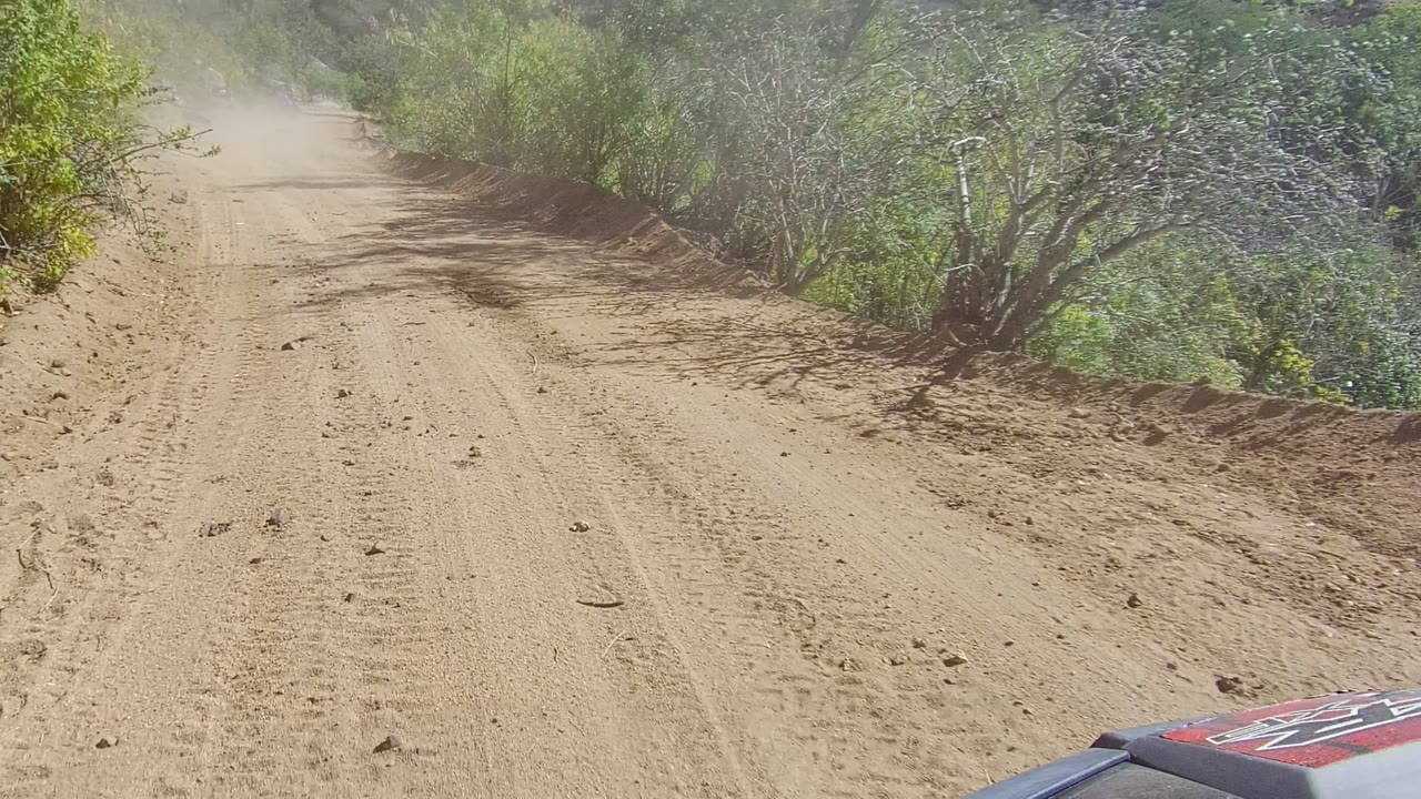 A straight section of dusty dirt road in Los Cabos, Mexico, runs between scrubby trees, with loose rocks, tire tracks, and no visible people.