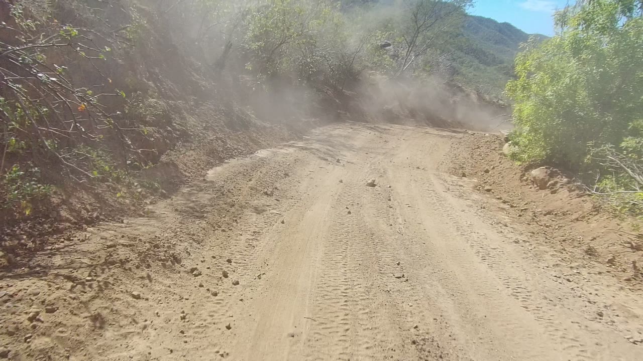 A dusty unpaved road in Los Cabos curves past scrub vegetation and rocky banks under bright sunlight, with no visible people.
