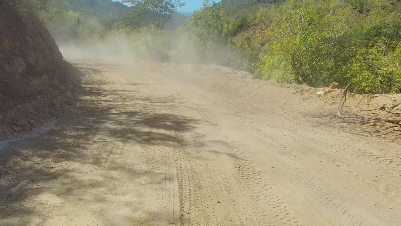 A dusty sandy dirt road in Los Cabos, Baja California Sur, with tire tracks, roadside greenery, tree shadows, distant hills, and no visible people.