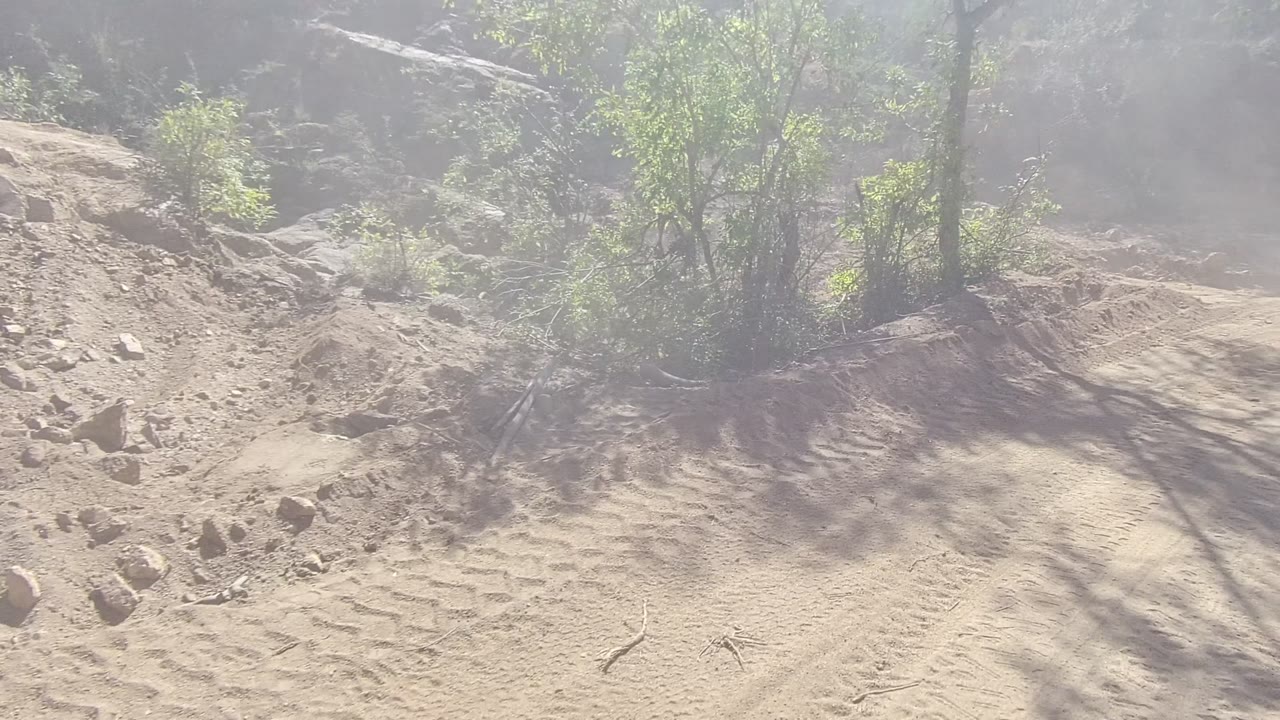 A sunlit sandy road in Los Cabos, Baja California Sur shows repeated tire marks leading toward scrubby green vegetation and scattered rocks, with no visible people.