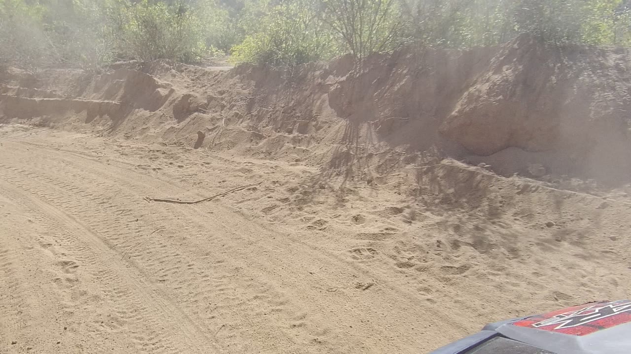 Vehicle hood edge on a dusty dirt road beside brush