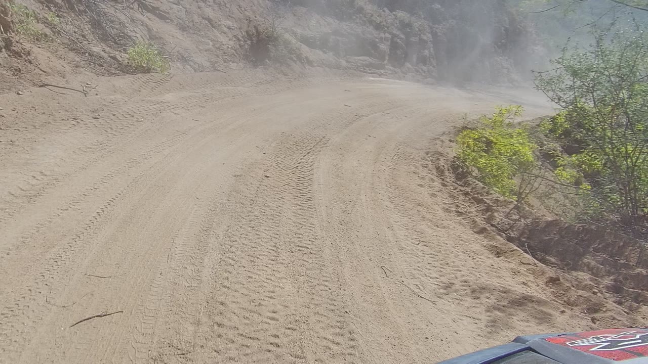 Tire-marked dirt road beside shrubs with dust ahead.