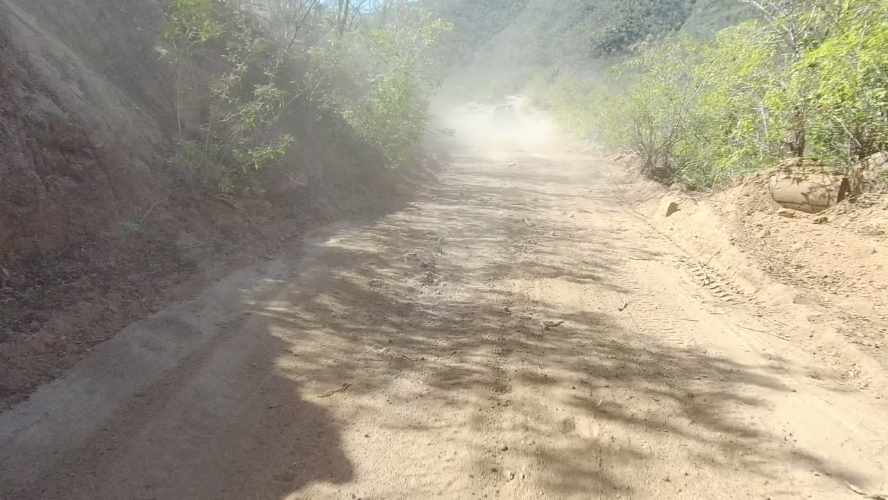 Rutted dirt road with dust ahead and green vegetation along both sides.