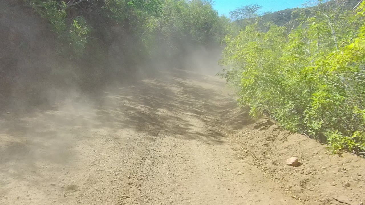 A dusty unpaved road in Los Cabos, Baja California Sur curves through green brush and rocky roadside banks, with no visible people.
