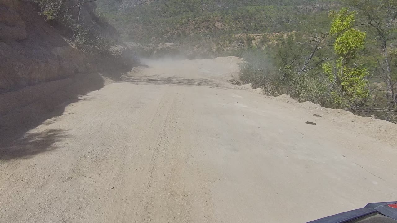 The road opens wider in Los Cabos, Baja California Sur, with a cut bank casting shade across the sand, scrub trees on the right, a vehicle corner at bottom right, and no visible people.