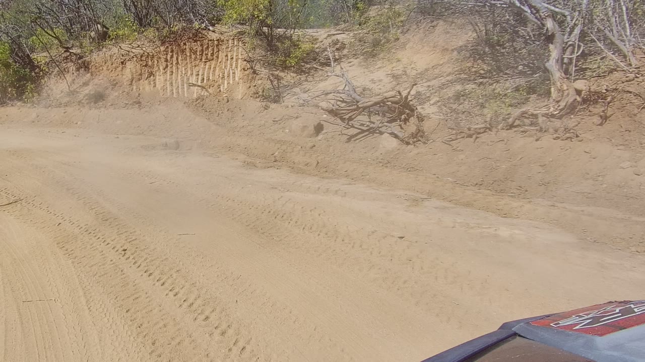A rutted sandy track with heavy tire marks passes between dry vegetation and a low dirt embankment in Los Cabos, with part of the vehicle at lower right and no visible people.