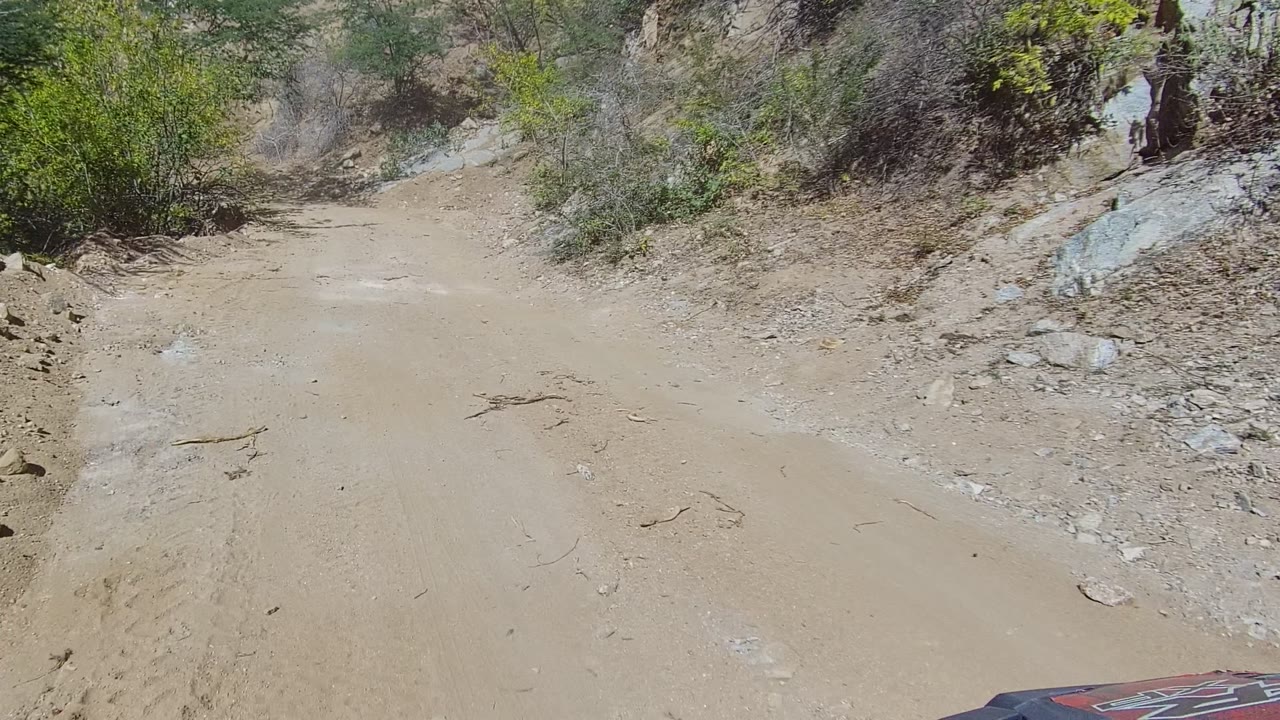 Los Cabos dirt road with a muddy wet patch, scattered stones, scrub bushes, tree shadows, and no visible people at the start of the clip.