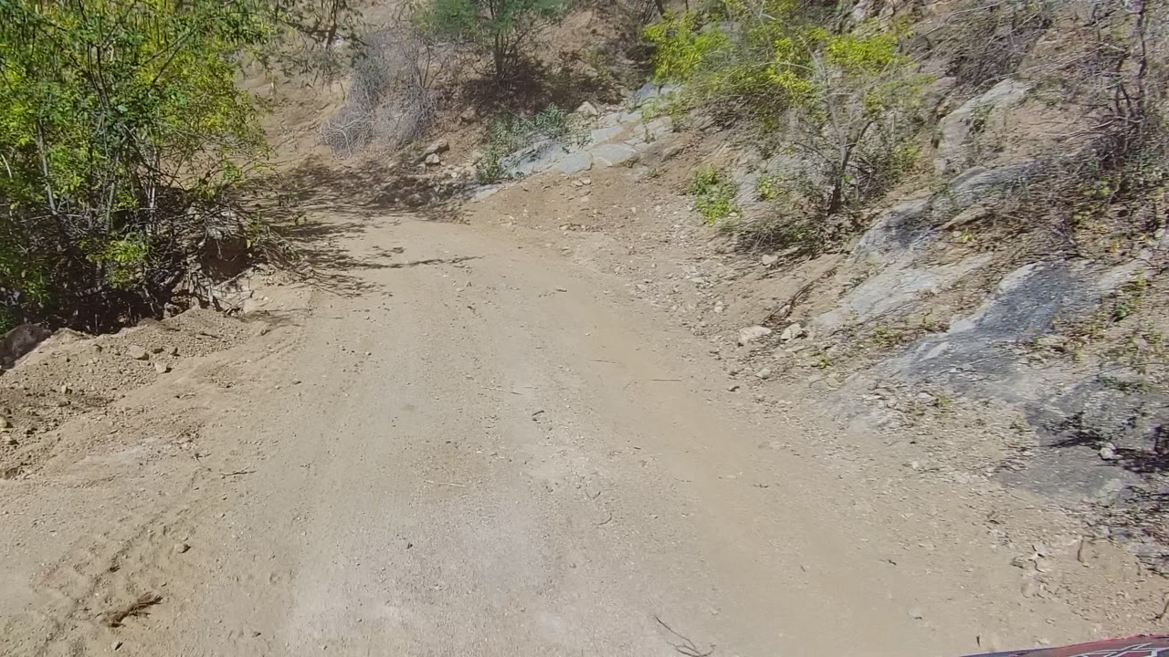 Narrow dirt road between bushes and rocks