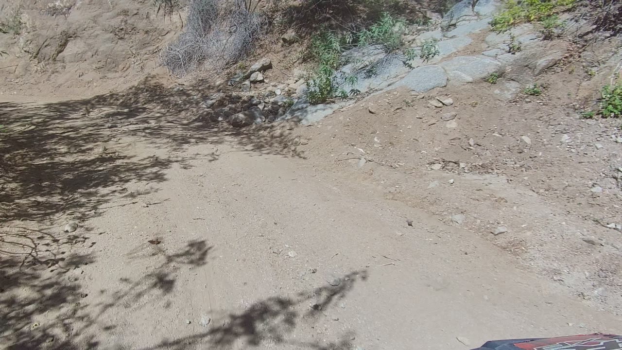 Los Cabos dirt track in hard sun with dry packed soil, scattered gravel, roadside brush, dark branch shadows, and no visible people.